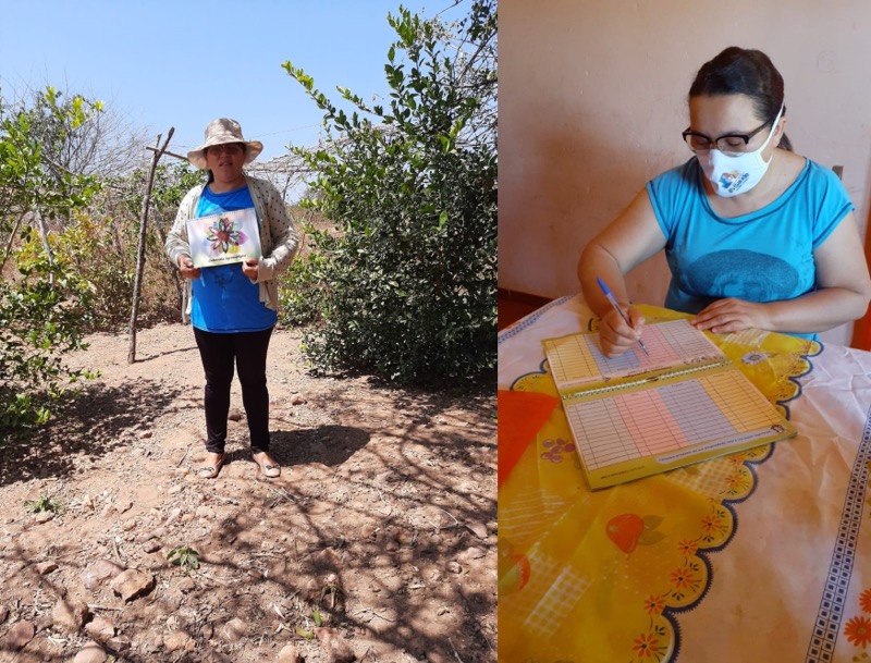 Mulheres caririenses utilizam Caderneta Agroecológica como instrumento de autonomia