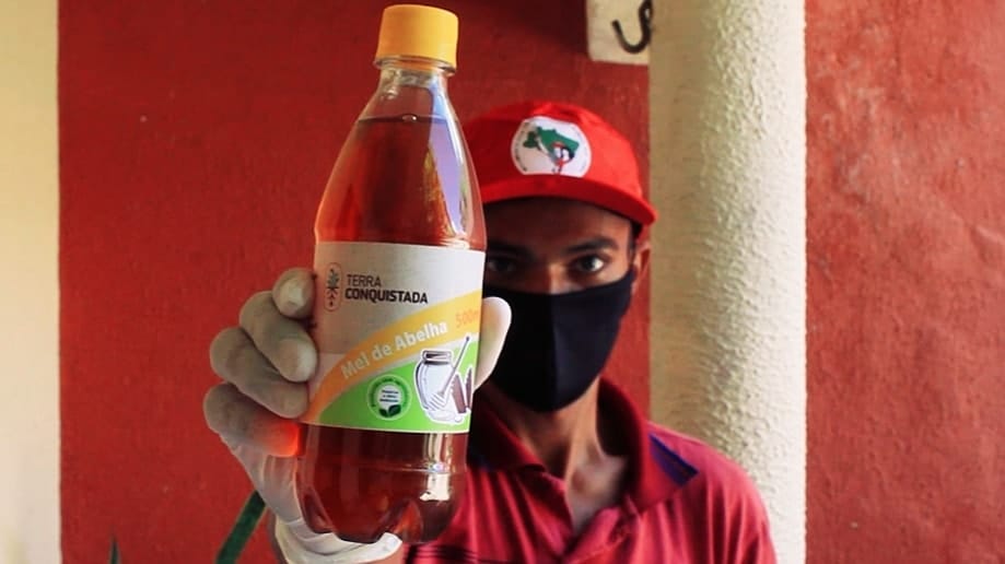 Feira da Reforma Agrária oferta alimentos saudáveis para consumidores de Fortaleza