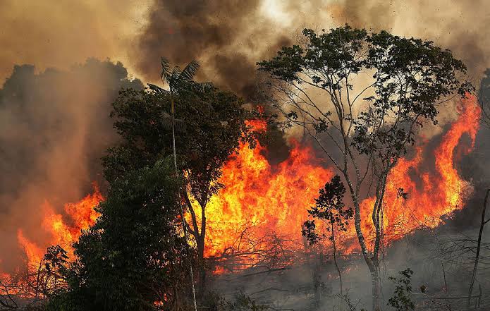 Cariri já registrou mais de 1.400 focos de incêndio em 2020