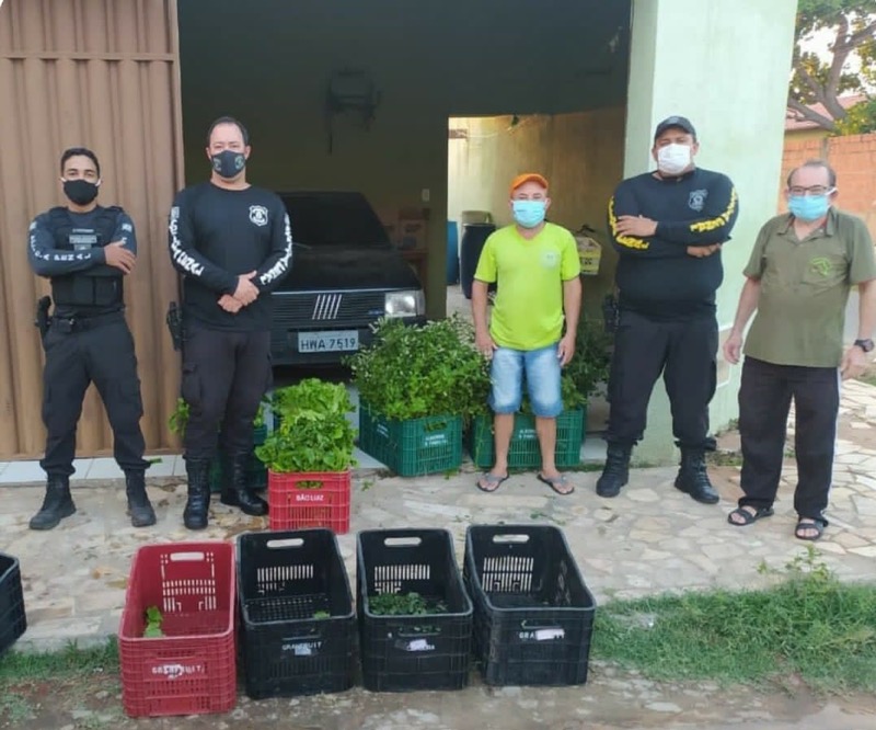 Legumes da horta da PIRC são doados para abrigos de idosos em Juazeiro do Norte