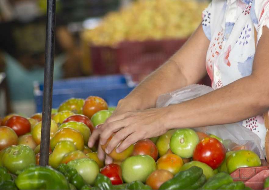 Abacaxi, banana prata e limão tahiti em queda na Ceasa Cariri