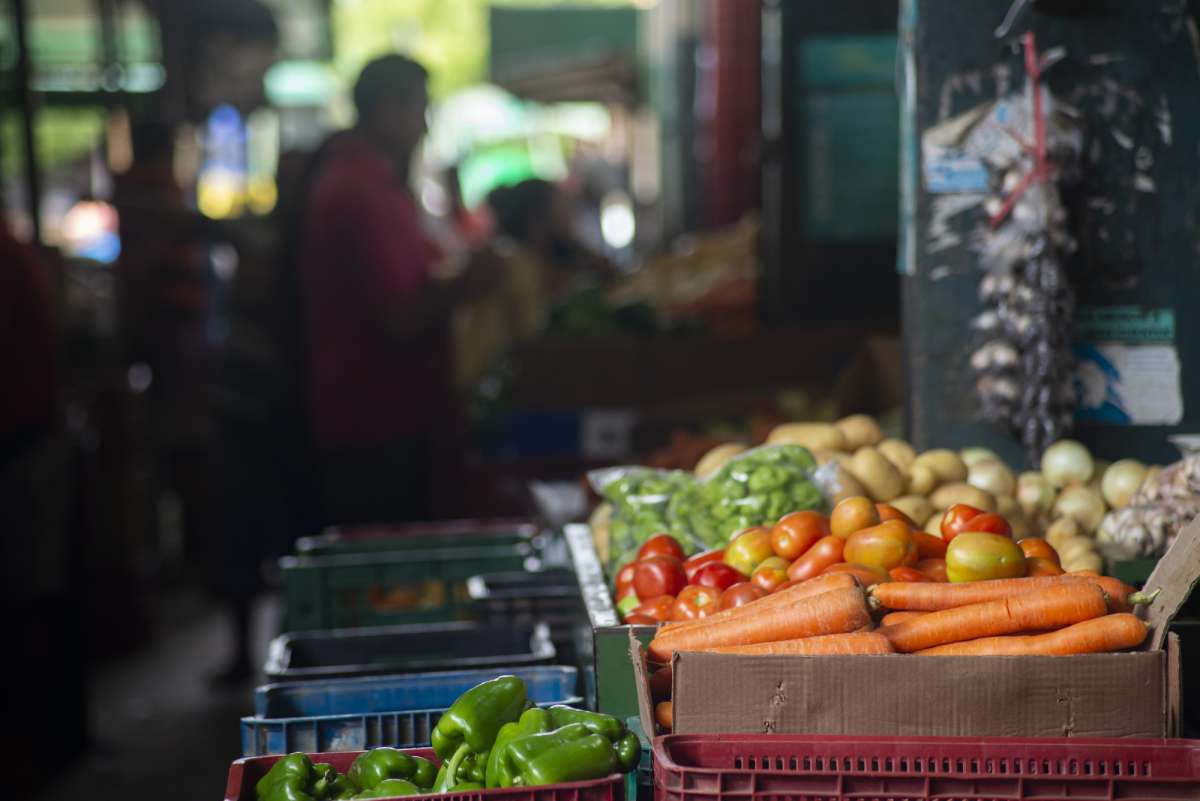 Queda de 53,8% no preço do tomate longa vida na Ceasa Cariri