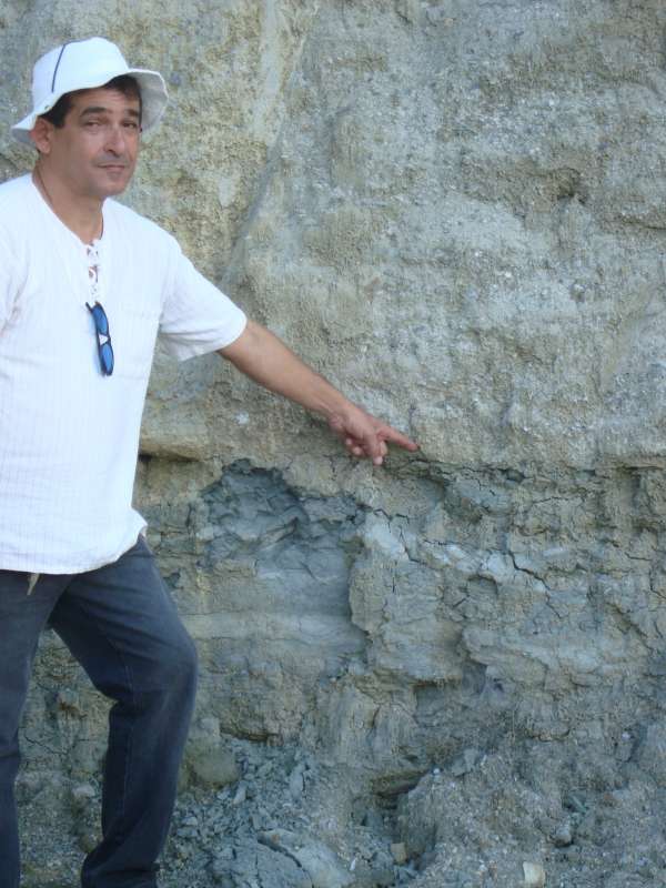 Fóssil de espécie de dinossauro mais antiga da Bacia do Araripe é devolvido ao Museu de Paleontologia da Urca