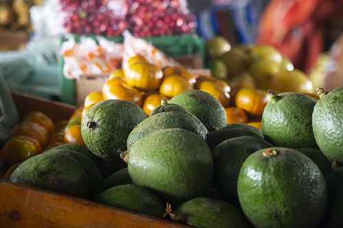 Preço do abacate cai 30% na Ceasa do Cariri