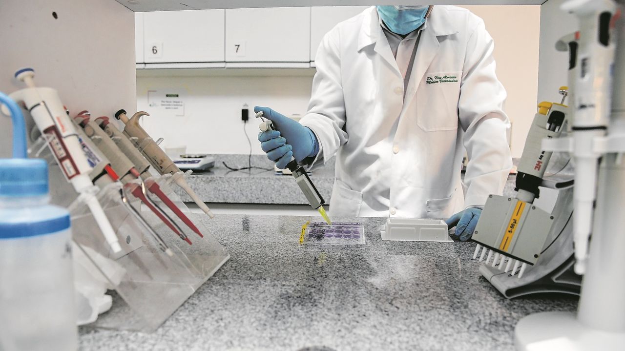 Pesquisas no Ceará desenvolvem e testam vacinas contra doenças como dengue, calazar e Covid-19