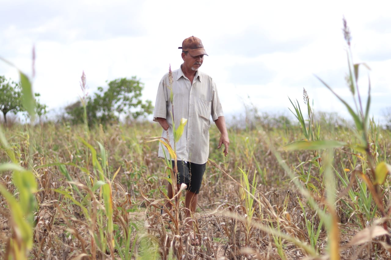 Quase 15 mil famílias de agricultores atendidos com liberação do Garantia Safra