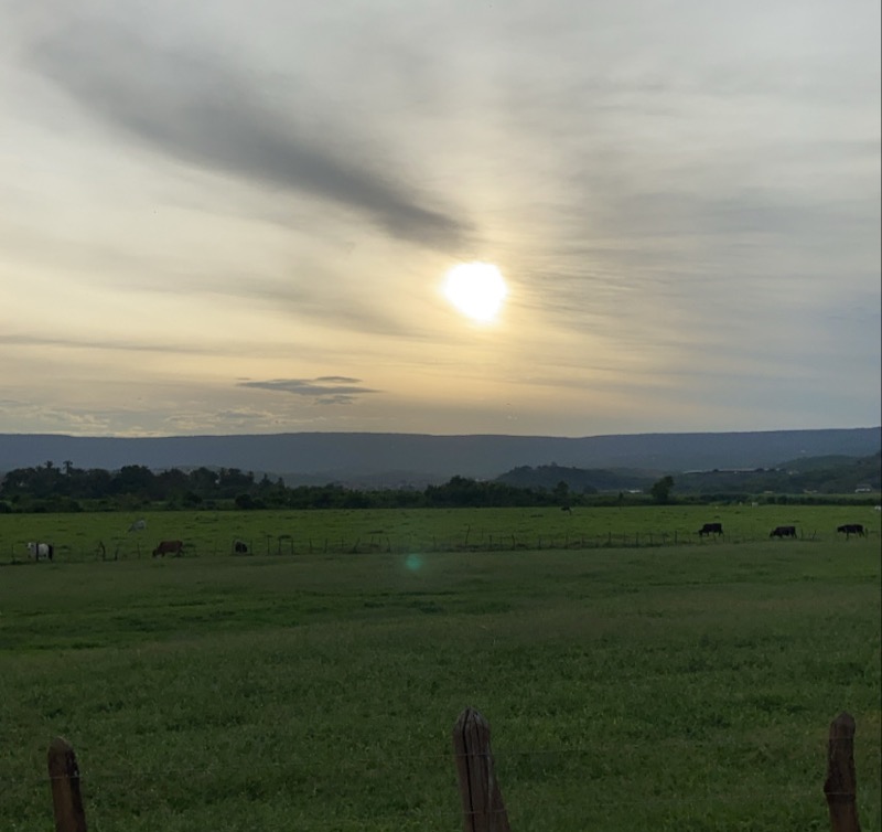 Volta a chover em 116 cidades do Ceará; temperaturas ficam mais amenas e Barbalha tem 19ºC