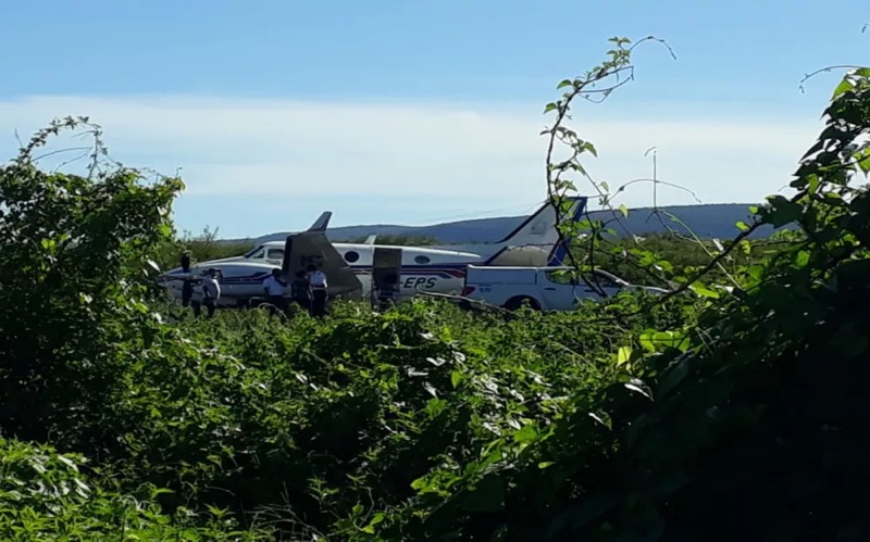 Avião com doses de vacina bate em jumento em aeródromo da Bahia