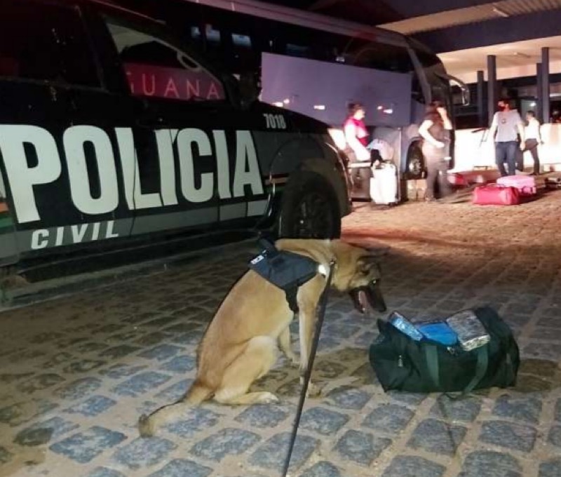 Ações das Polícias Civil e Militar na Capital e no Interior resultam no aumento de 141% nas apreensões de drogas