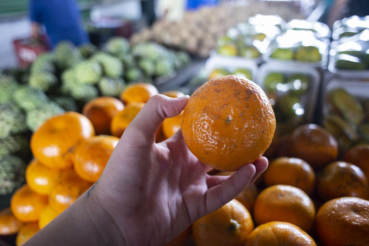 Tangerina é oferta da semana no entreposto da Ceasa em Maracanaú