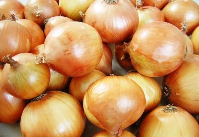 Preço da cebola pera está em queda na Ceasa Cariri