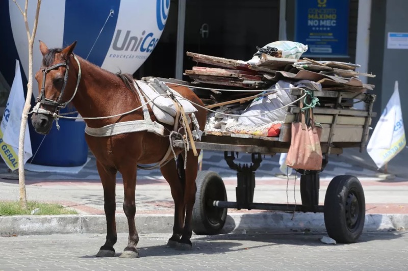 Prefeitura proíbe uso de veículos com tração animal em Sobral