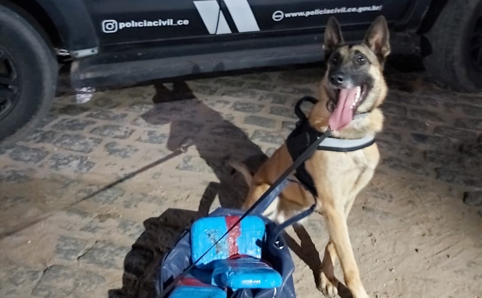 Com auxílio de cão farejador, mulher é presa com tabletes de crack dentro de bagagem no Crato