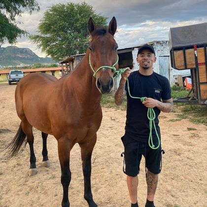 De férias do futebol, Gabriel Jesus investe em cavalos de vaquejada