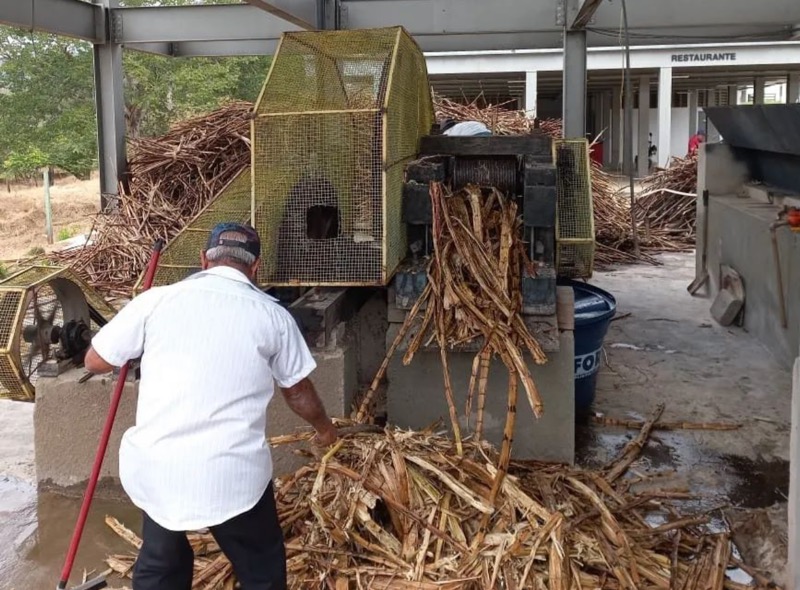 Crato: engenho volta a funcionar no Parque Pedro Felício