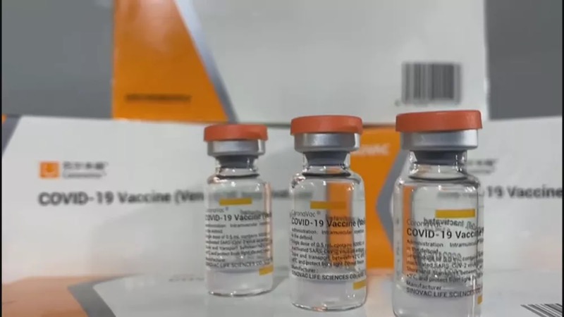 Ceará recebe lotes com 228 mil doses de vacinas contra a Covid-19 nesta segunda