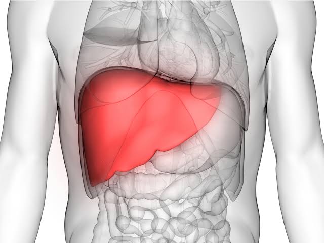 Médico alerta: Este verão, cuide do seu fígado