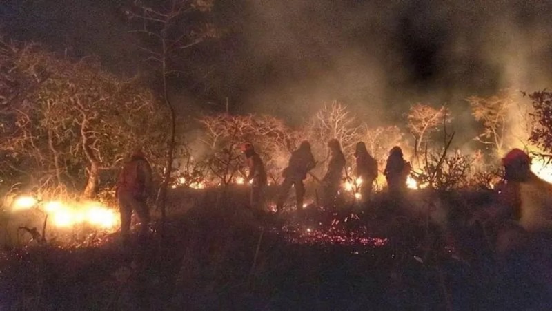 Ceará vai contratar 60 brigadistas temporários para combater incêndios florestais