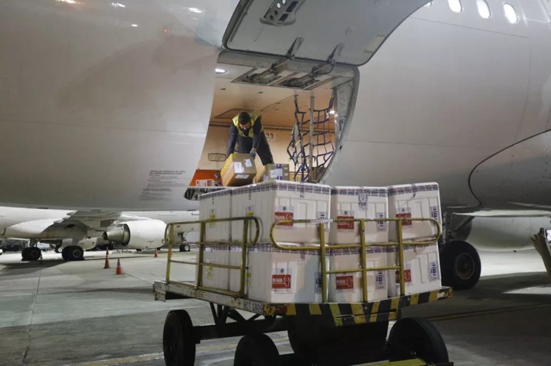 300 mil doses de CoronaVac compradas diretamente do Butantan chegam ao Ceará