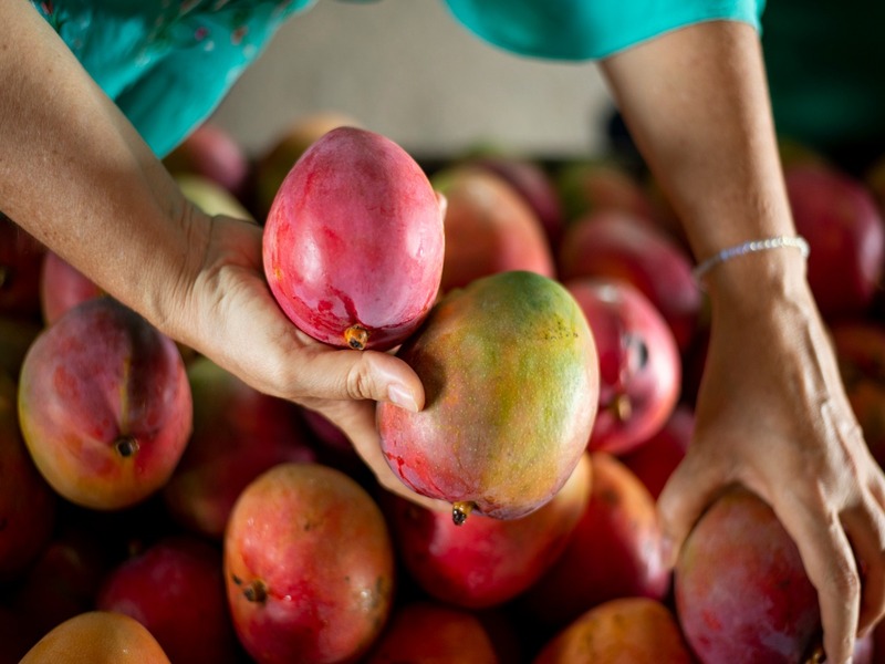 Ceasa Cariri traz ofertas de frutas no início desta semana
