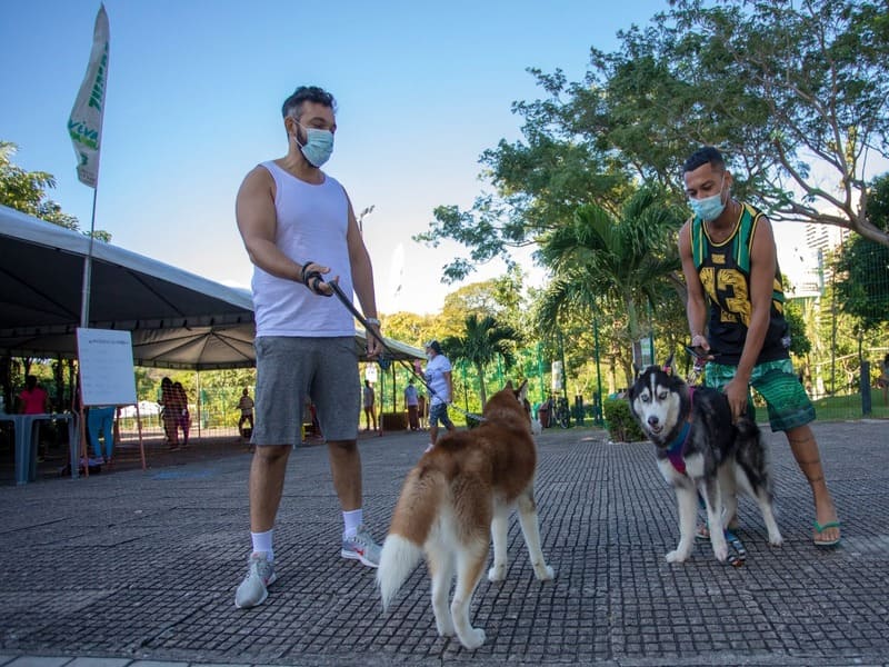 Política de Proteção e Defesa Animal é aprovada na Assembleia Legislativa do Ceará