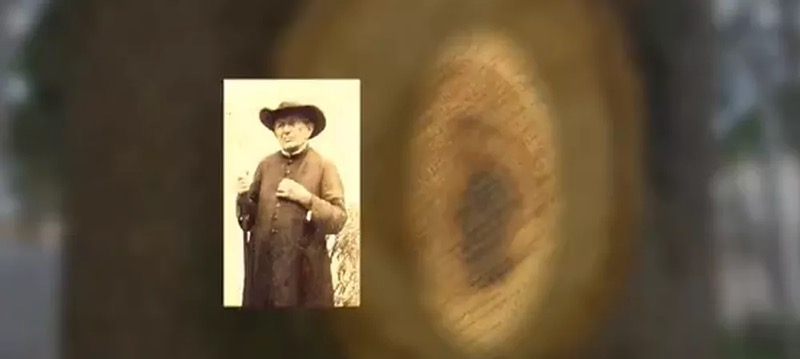 Moradores de Juazeiro do Norte afirmam ver a imagem de Padre Cícero no tronco de uma árvore após poda