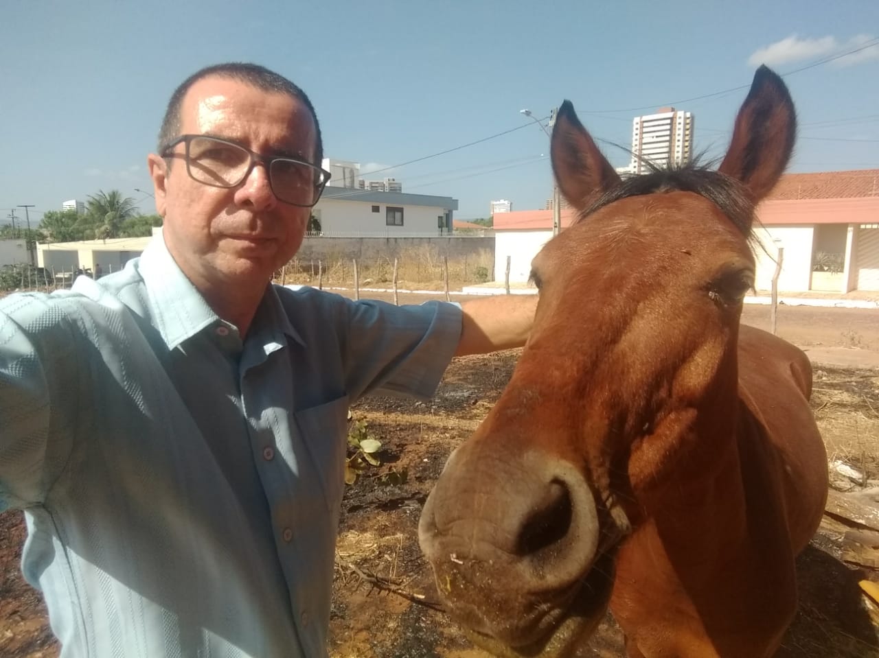 Professor salva cavalo de incêndio em Juazeiro do Norte