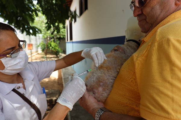 Crato inicia vacinação antirrábica na zona rural; veja os pontos de atendimento