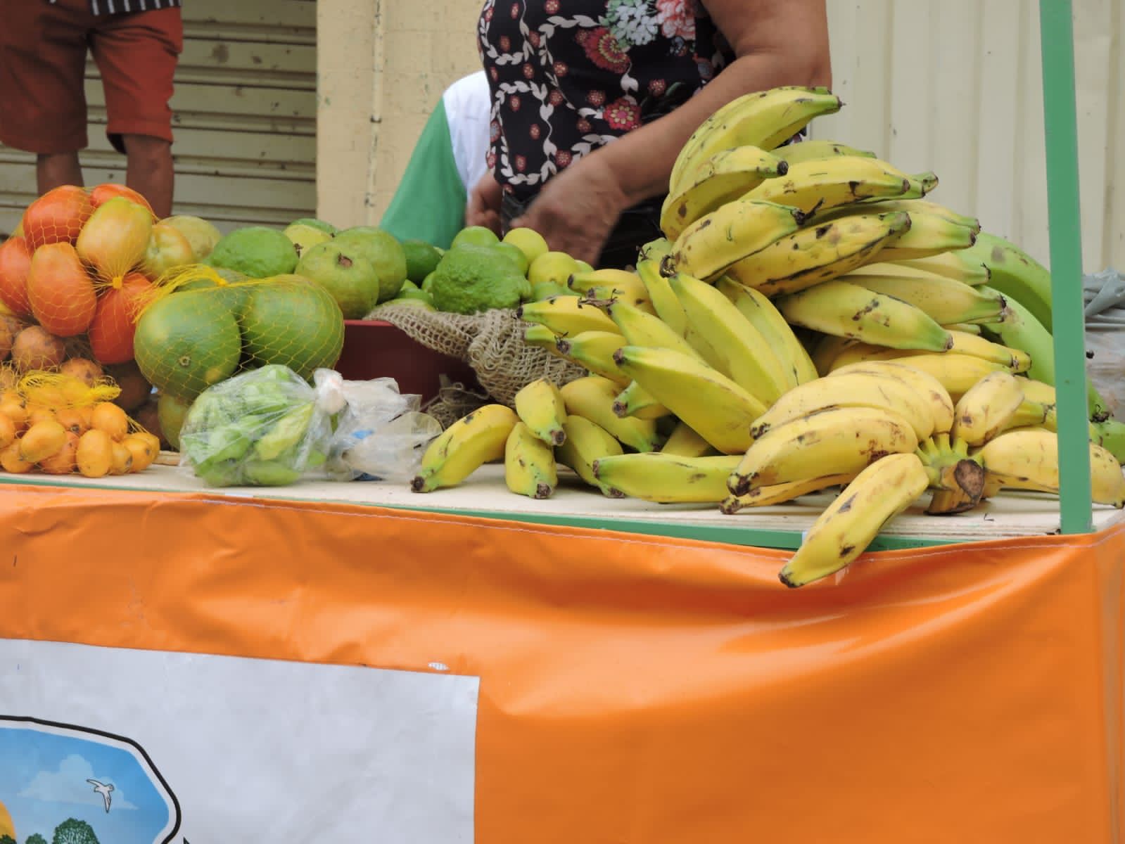 Para estimular comércio de orgânicos, Prefeitura de Farias Brito reativa Feira da Agricultura Familiar