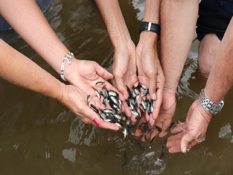 Comunidades da zona rural do Crato recebem 20 mil alevinos do programa de peixamento