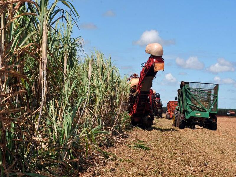 Barbalha divulga lista de contemplados no Programa Terra Fértil