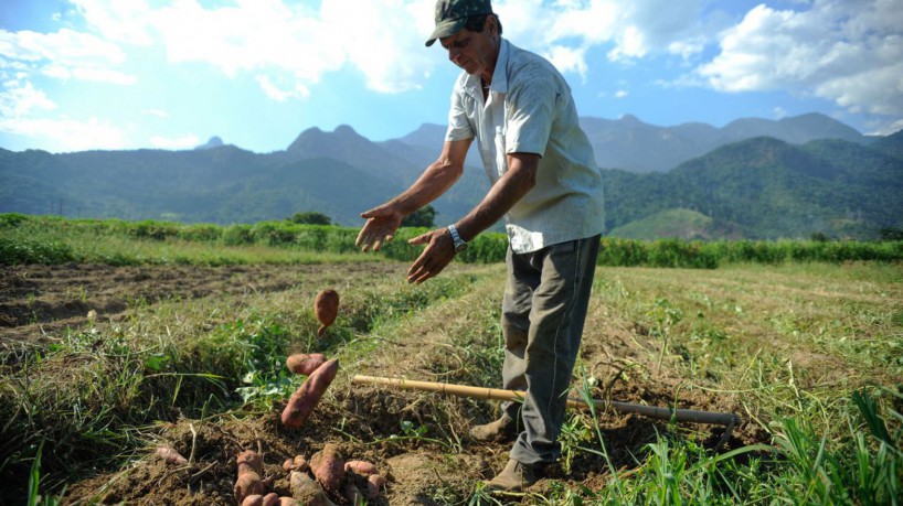 Famílias da zona rural recebem subsídio para compra de 802 imóveis