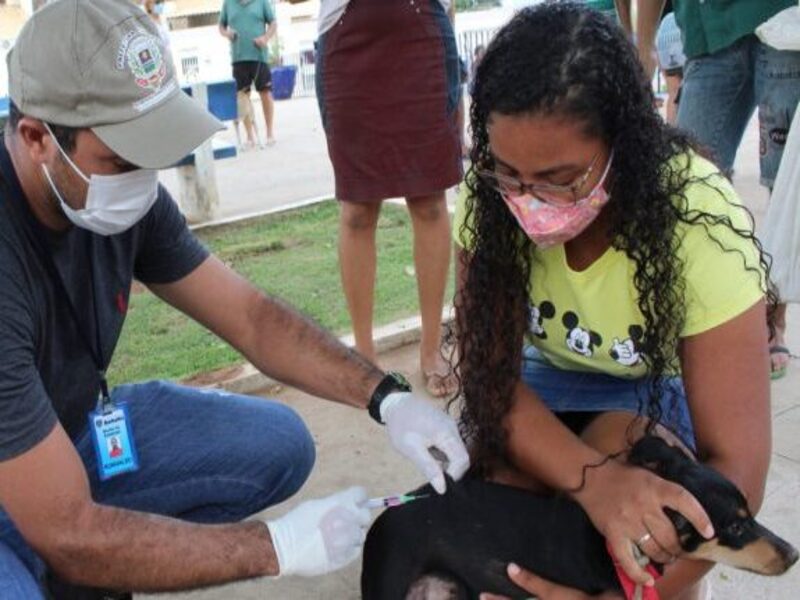 Barbalha supera metas durante campanha de vacinação antirrábica