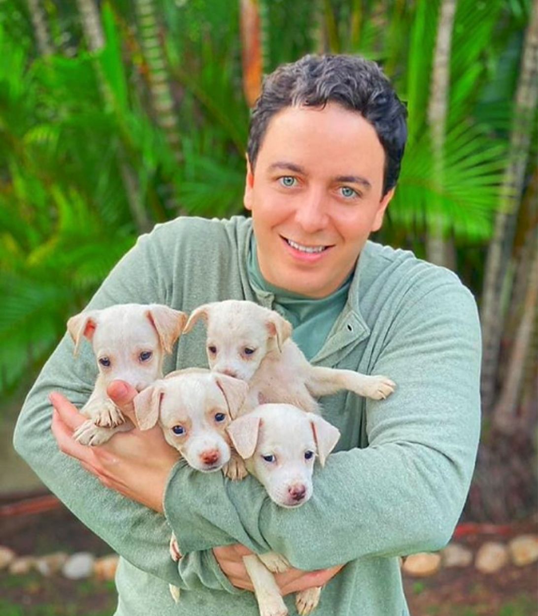 Nota de esclarecimento do deputado Célio Studart (PV) sobre o requerimento para construção da UPA Veterinária de Juazeiro do Norte