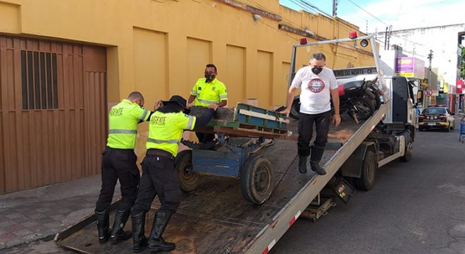 Populares denunciam abandono de jumento sem comida e água em rua de Juazeiro