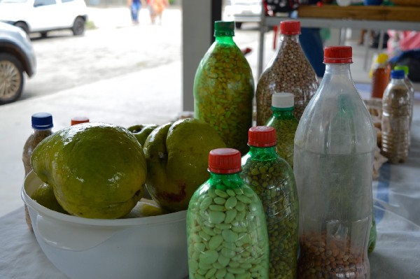 Crato realiza o 19º festival Cariri Frutas no final de semana
