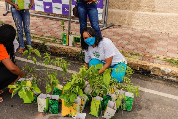 Mais de 400 mudas são distribuídas na blitz Estação Ambiental, em Crato