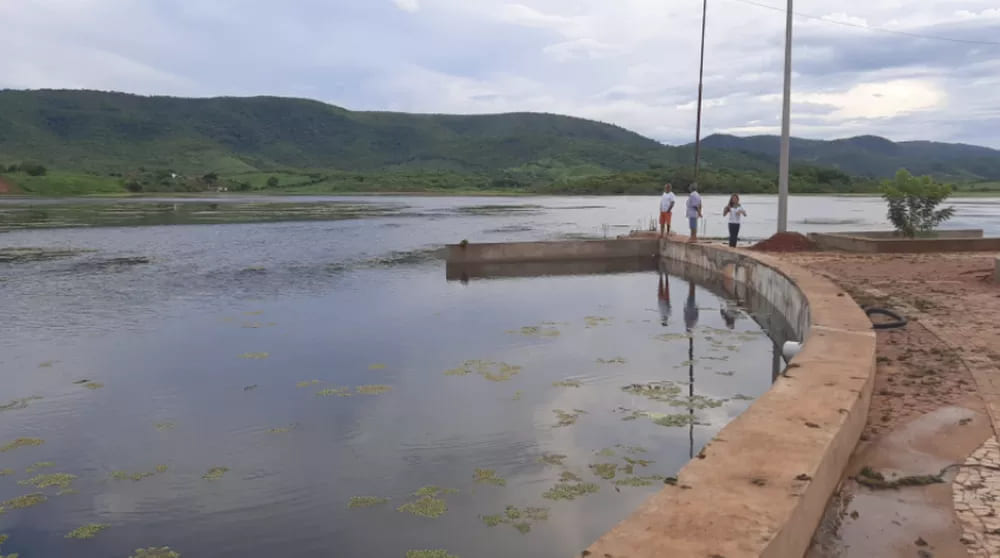 Após 10 anos, açude Junco volta a sangrar no interior do Ceará