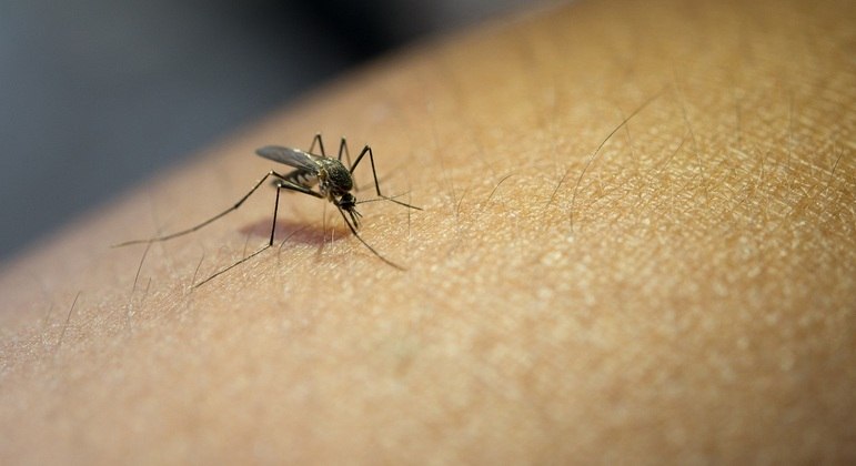 Entenda por que o Ceará não recebeu vacinas contra a dengue