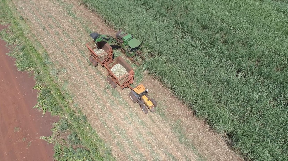 Preço do etanol sobe 4,5% em 1 semana; saiba o que aconteceu e o que esperar