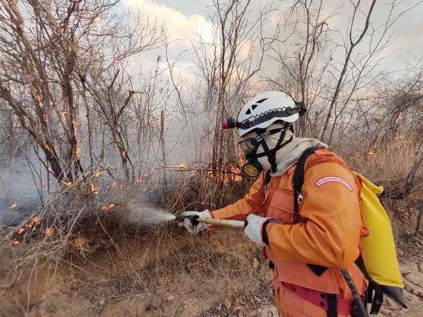 Ceará apresenta redução de 78% nos incêndios em vegetação no primeiro quadrimestre
