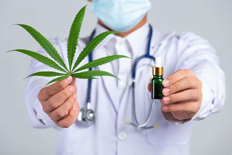 Uso medicinal da Cannabis pela rede pública é aprovado no Ceará