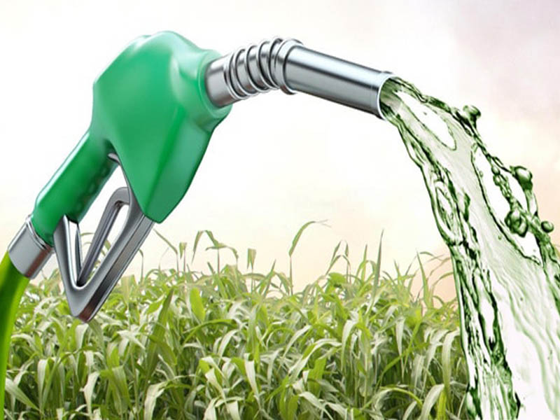 Com redução do preço da gasolina, etanol perde competitividade no país