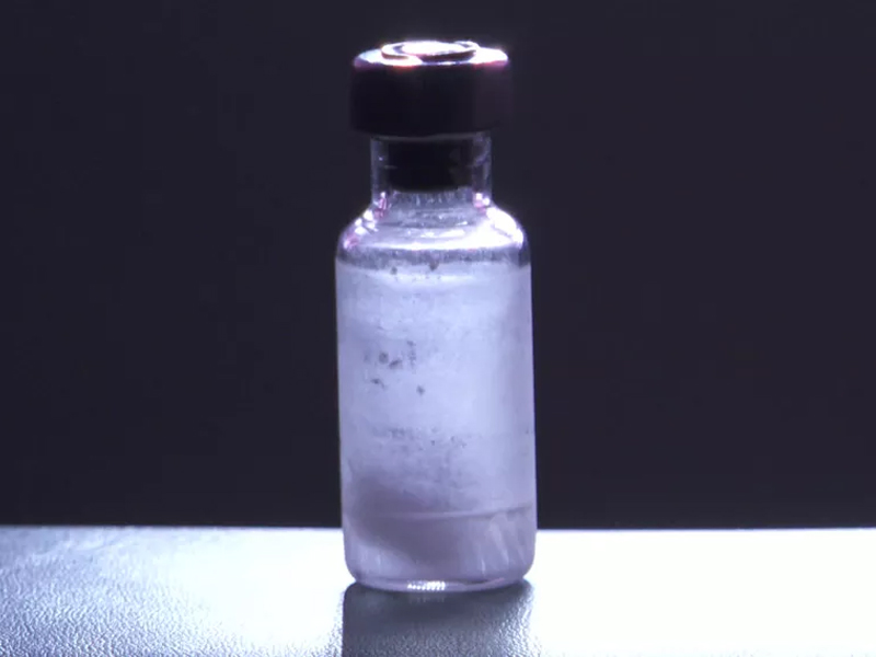 Saiba como jovens de 12 a 17 anos podem participar de testes de vacina contra chikungunya