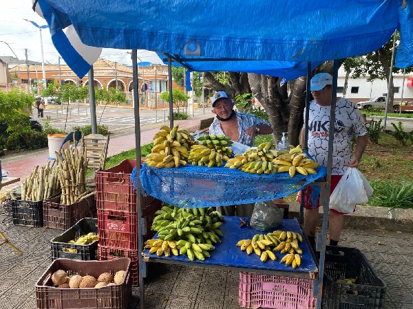 Prefeitura do Crato realiza I Circuito de Feiras da Agricultura Familiar e Economia Solidária