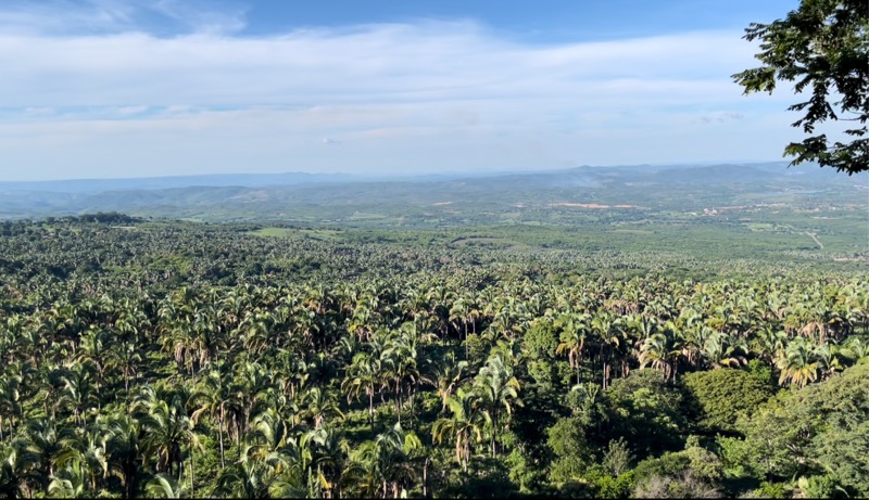 Chapada do Araripe é reconhecida oficialmente como primeira Paisagem Cultural do Ceará