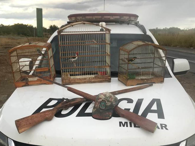 Pássaros silvestres são resgatados e duas armas de fogo são tiradas de circulação em ação da Polícia na cidade de Farias Brito