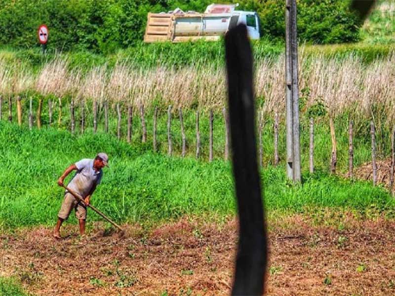 Prazo para cadastramento no Programa Garantia Safra 2022/2023 inicia nesta segunda-feira (03) em Juazeiro do Norte