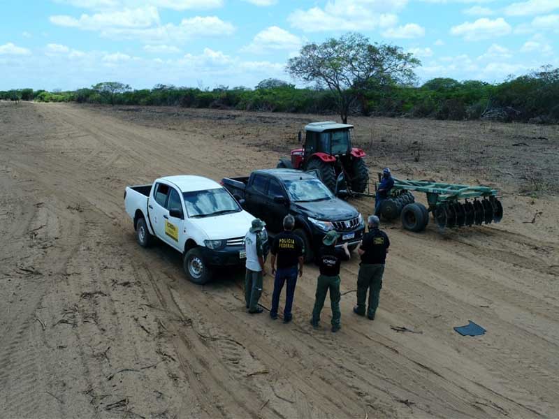 Polícia Federal flagra desmatamento na Floresta Nacional do Araripe no Município de Santana do Cariri