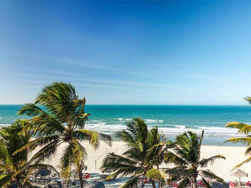 Feriados em novembro: confira as datas de folga do mês no Ceará